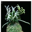 두엽농장 이미지