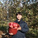 손수현농장 이미지