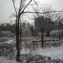 서곶공원 이미지