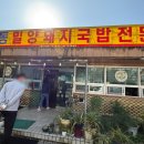 흥동밀양돼지국밥 네이버블로그