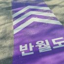 전남 신안 퍼플섬 매표소 입장료와 무료입장 총정리(ft.퍼플박스 미디어아트)