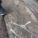 한신전기 이미지