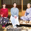 일일시호일 이미지