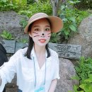 울릉드림 | 포항 출발 1박2일 울릉도 독도 여행!!! pt.1 울릉도숙박 '드림펜션'과 울릉도희귀식물원 '예림원' 후기