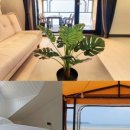 한마음오션플레이스 이미지