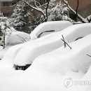 내차처럼 이미지