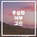 프로네오
