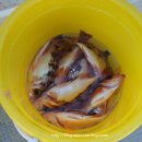 거제바다이야기 이미지