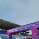 복사꽃 마라톤 후기