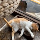 청사포역