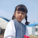 수청별빛 태권도장 이미지