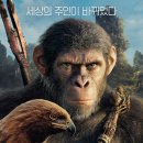 Kingdom of The Planet of The Apes 2024 이미지