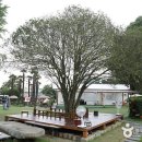 스테이 마중 이미지