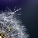 행정사사무소 한강 이미지