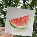 수분가득 수채화 이미지