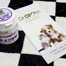 펫 온 - Pet on 이미지