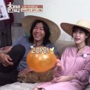 레드민박 이미지