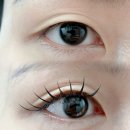 더래쉬 디자인스튜디오