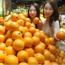 오렌지유통 이미지