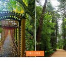 25.11.23(일) 08시 오대산 국립공원 산행(적멸보궁, 선재길) 이미지