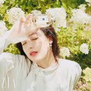 그라치아 이미지