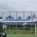 금산 / 충남 체육회장기 게이트볼 대회 종합 우승 이미지