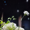 토요일 저녁식사로 탐나종합어시장 안양비산점 숭어회&amp;광어회 배달주문