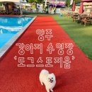 도그워시 | ‘도그스포지움’ 솔직 리뷰