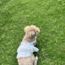 성산스테이 윤슬 이미지