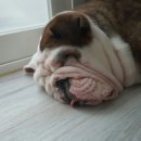 우리당구 이미지