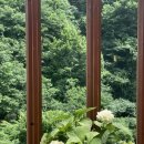 양지골쉼터식당 이미지