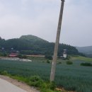신정목장 이미지