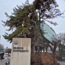 세종대학교 행정대학원 이미지