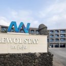 스테이 인 제주(stay in jeju) 이미지