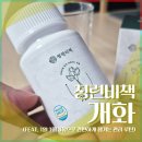 하루비책 | 청련비책 개화 후기 (알파CD 연꽃약 직접 섭취해본 솔직 후기)