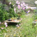 박곡농장 이미지