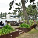 더클리프 이미지