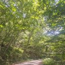철쭉공원 | 고흥 천등산 최단코스 등산후기, 철쭉공원 출발