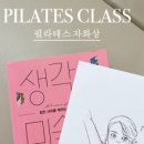필라디아 이미지