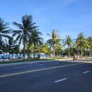 성당시장(1) | 첫 다낭 여행 관광지 추천 리스트 &amp; 후기(핑크성당, 미케비치, 영흥사, 시장, 롯데마트)