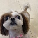 금파미용실 - 순창군 순창2길 38-4 | 금파미용실