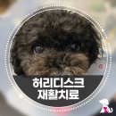 (주)온누리메디칼 이미지