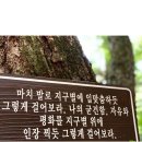 홀릭코리아 이미지