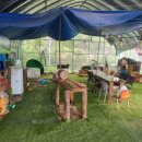 내아들농장 이미지