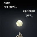 &#39;달&#39; 바라보며 &#34;기가 막힌다&#34;..기안84, 文정권 때리기? &#39;시끌&#39; 이미지