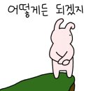 등촌샤브마석점칼국수 이미지