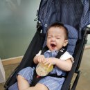 네일 블라썸 이미지