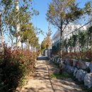 산단중앙로 이미지