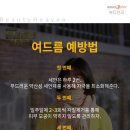 뷰티천국