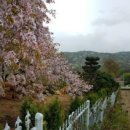 차량골농원 이미지